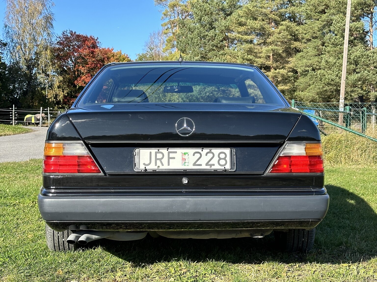 Exteriörbild på 1990 Mercedes-Benz 300 CE 24V (9)