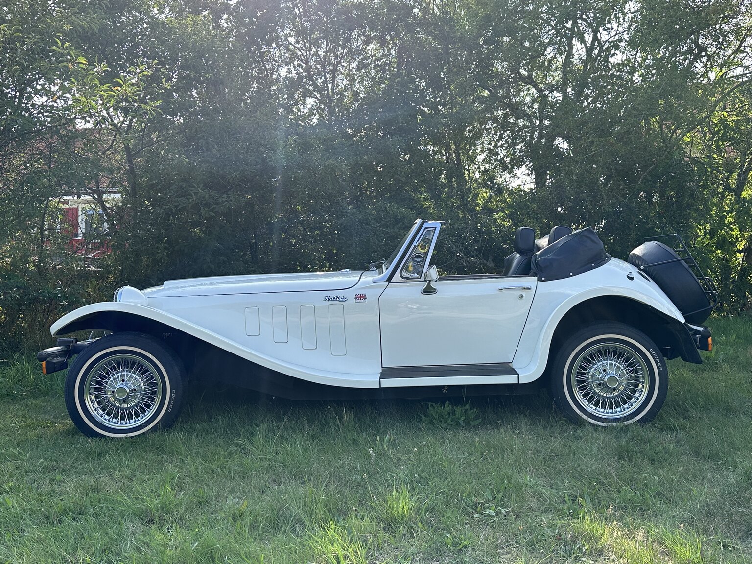 Exterior image of 1988 Panther Kallista