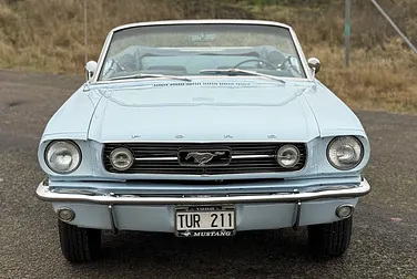 #<Image:0x00007f3a40678208>