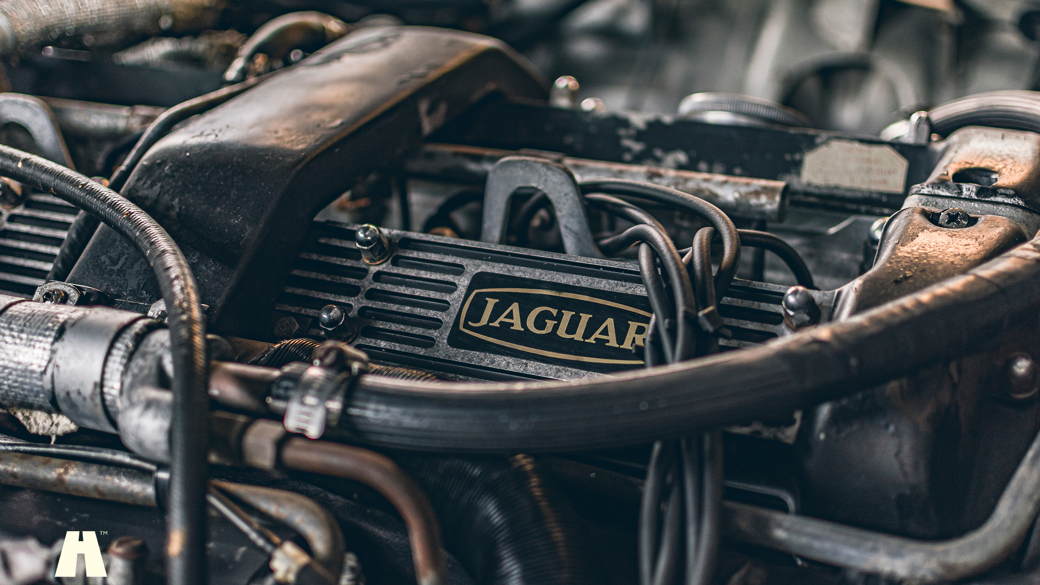 Image of 1972 Jaguar XJ6 Project mechanics