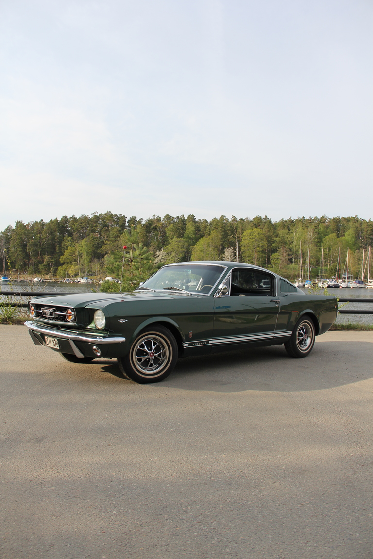 Exterior image of 1966 Ford Mustang Fastback GT-clone (40)