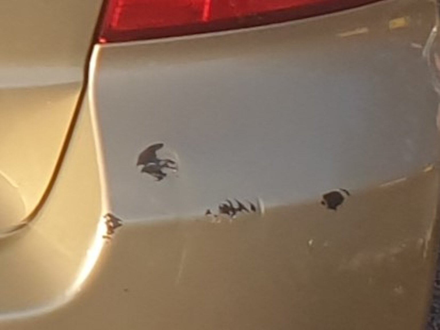 Exteriörbild på 2008 Volvo S80 2.5T