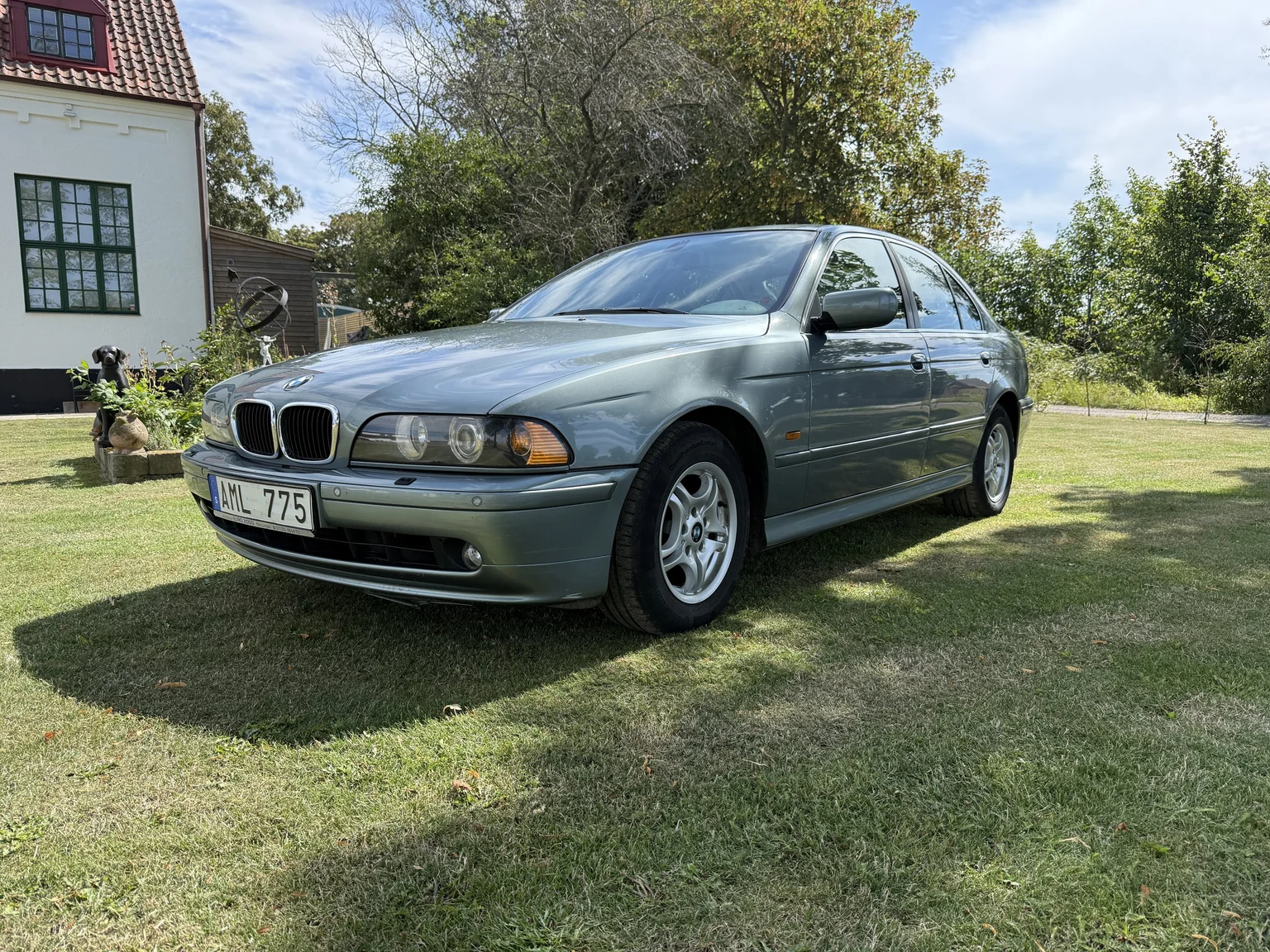Aussenfoto 2003 BMW 525d Sedan (10)