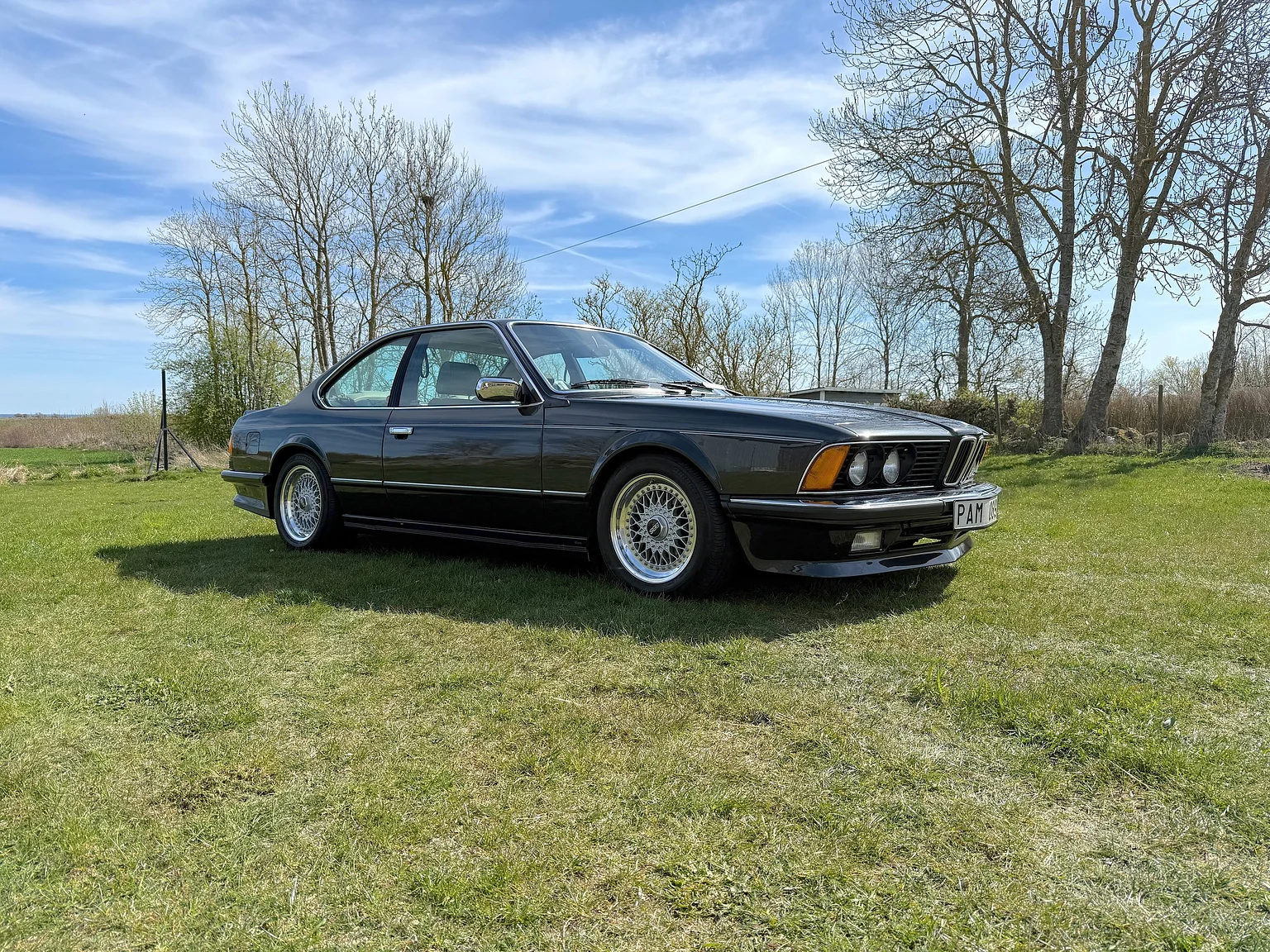 Exterior image of 1985 BMW 635 CSiA (E24) (7)