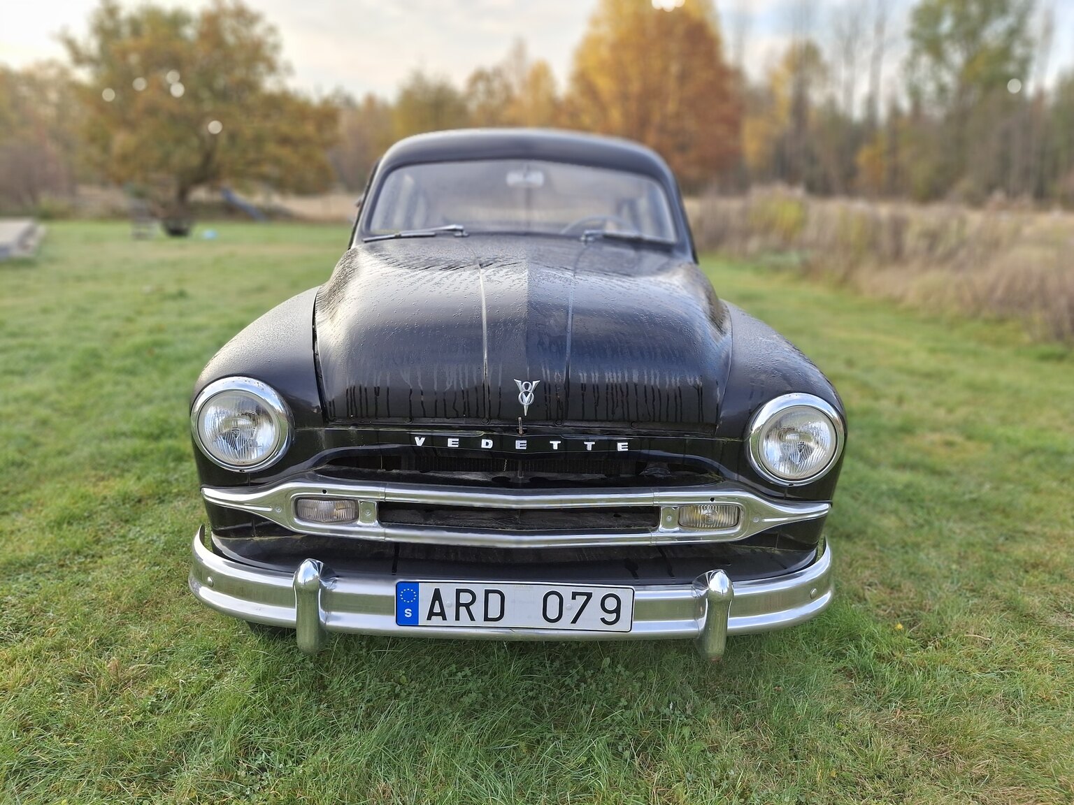Aussenfoto 1954 Ford Vedette 3.9 V8
