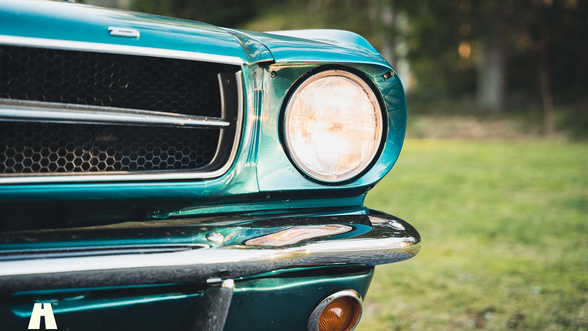 Exteriörbild på 1965 Ford Mustang Cabriolet (20)