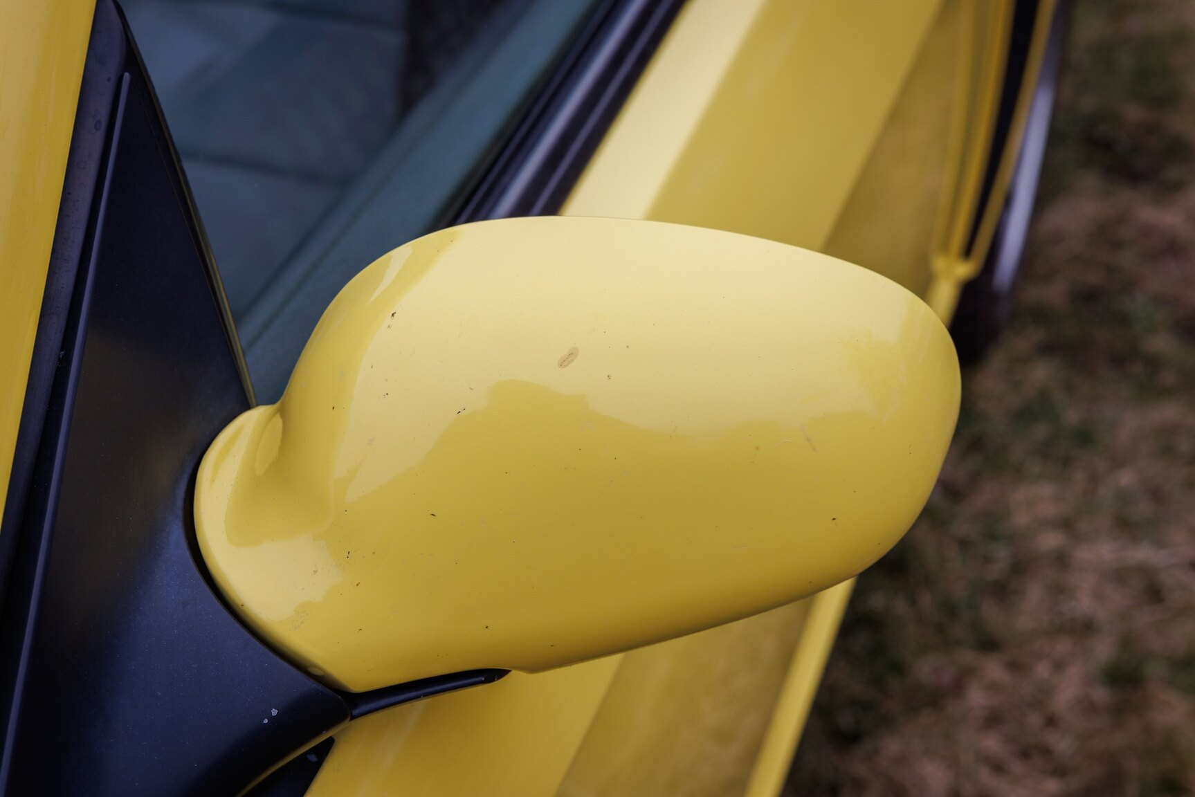Exterior image of 2003 Ford Mustang SVT Cobra
