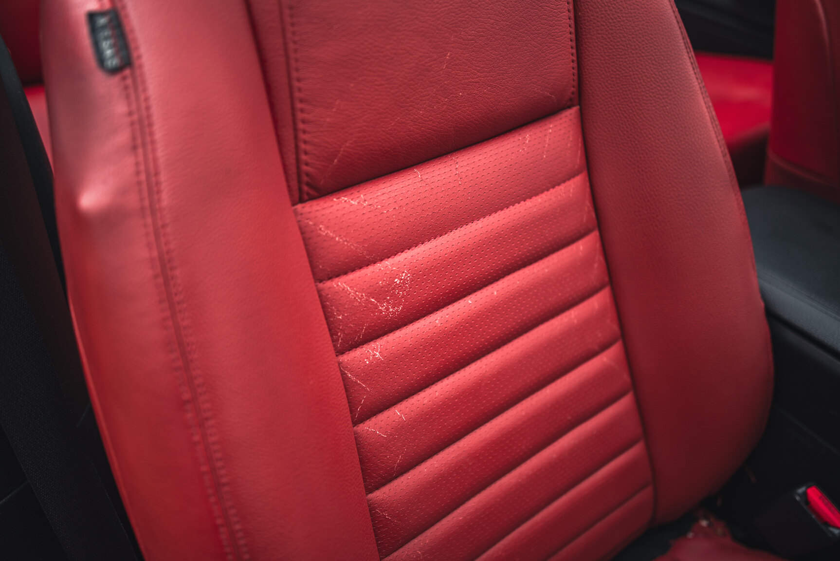 Interior image of 2009 Ford Mustang V8 GT Convertible