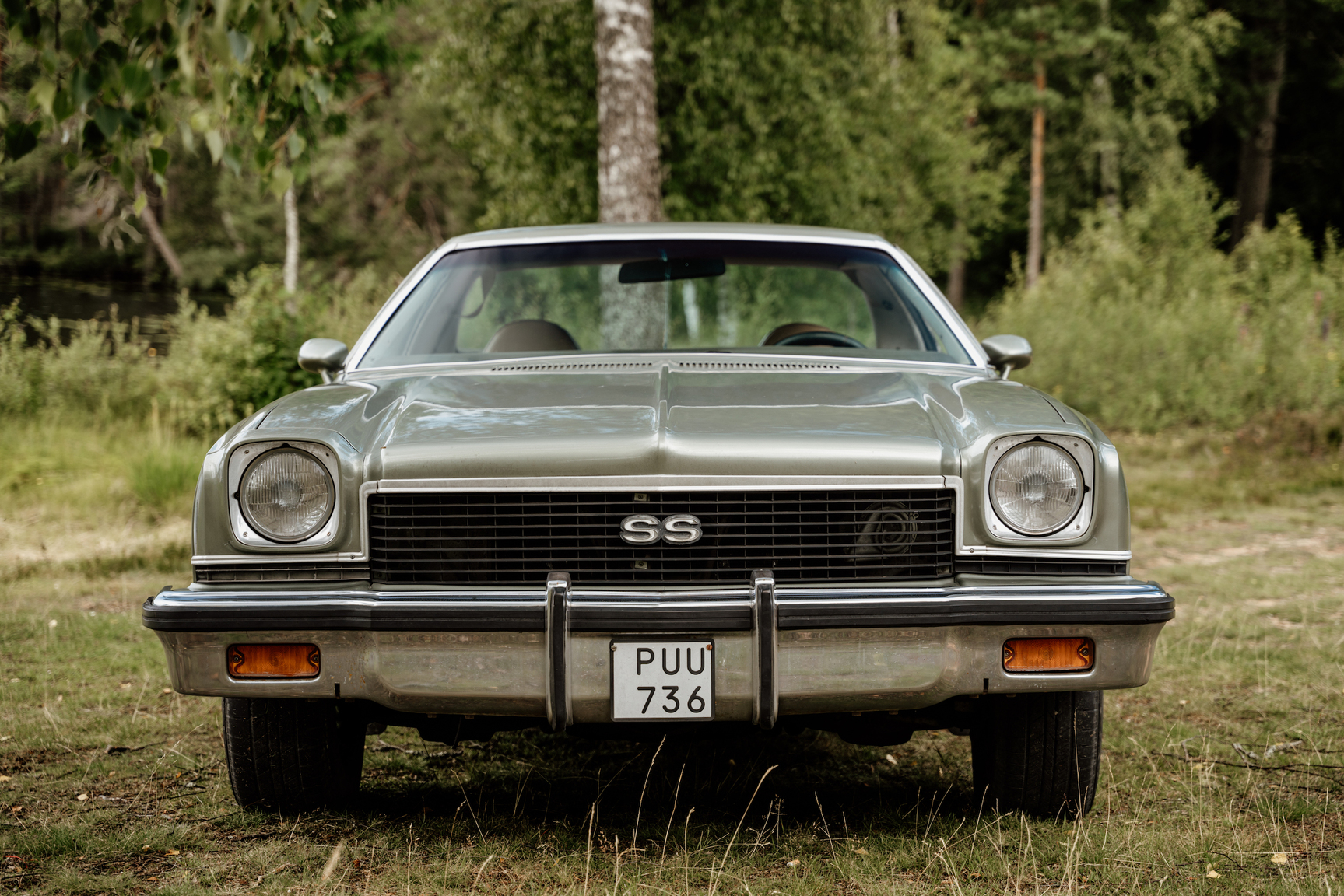 Aussenfoto 1973 Chevrolet El Camino SS 454 (2)