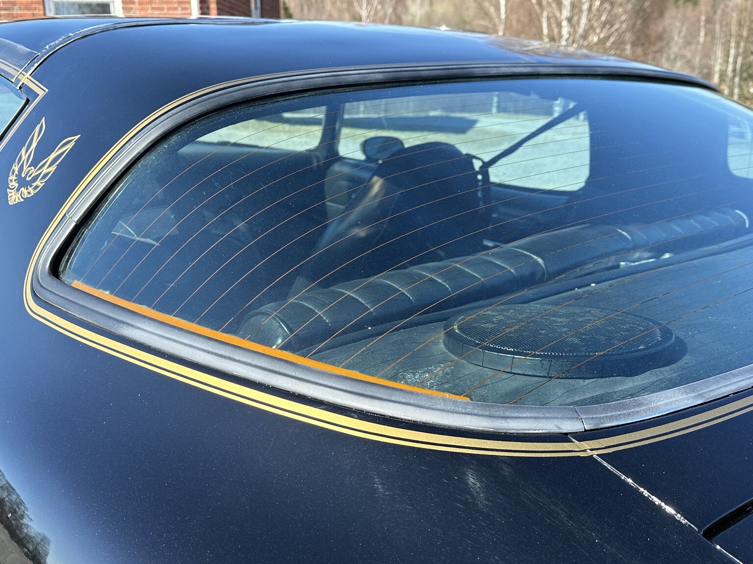 Exteriörbild på 1978 Pontiac Trans Am Bandit 400