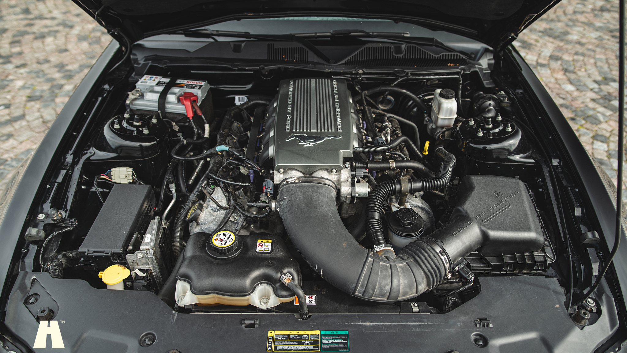 Image of 2010 Ford Mustang GT  mechanics