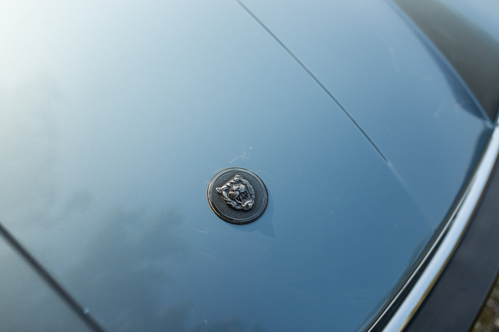 Aussenfoto 1987 Jaguar Xj-SC (73)