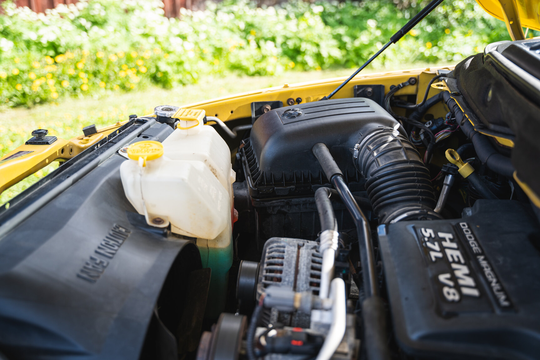 Image of 2005 Dodge Ram 1500 Bumble Bee mechanics