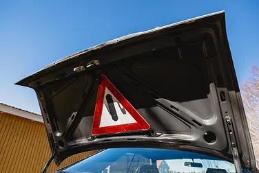 #<Image:0x00007f9ed2c549c8>