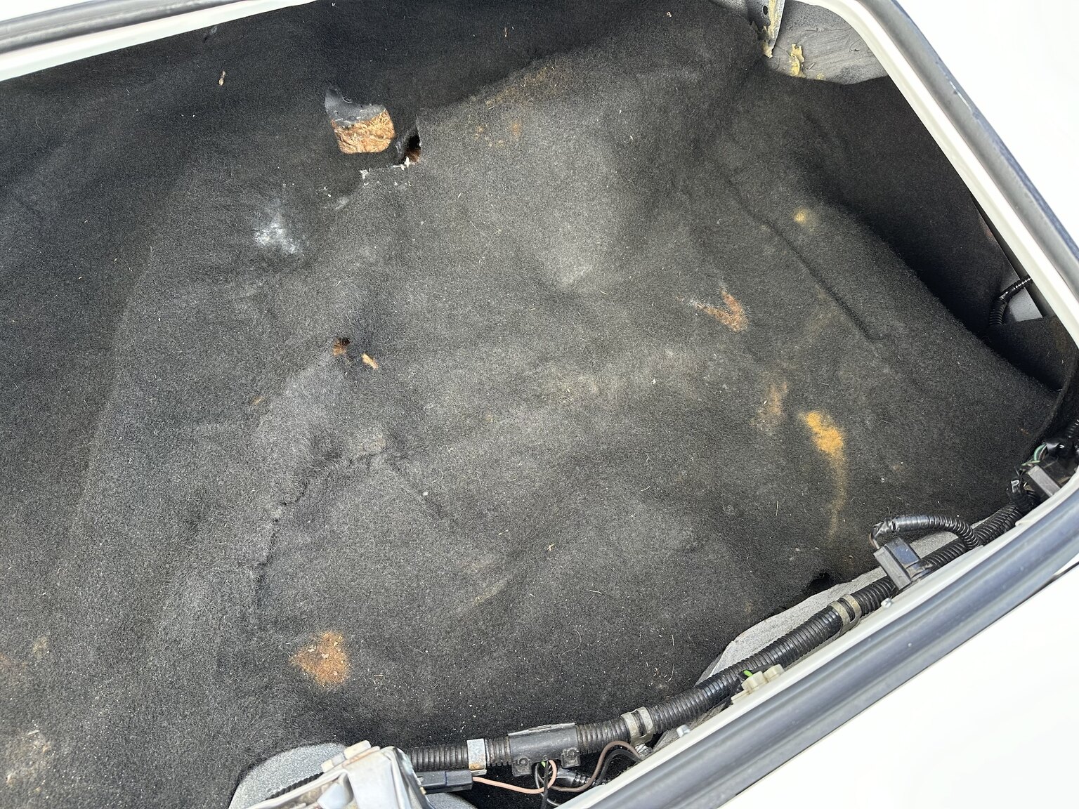 Interior image of 1976 Pontiac Firebird Trans Am