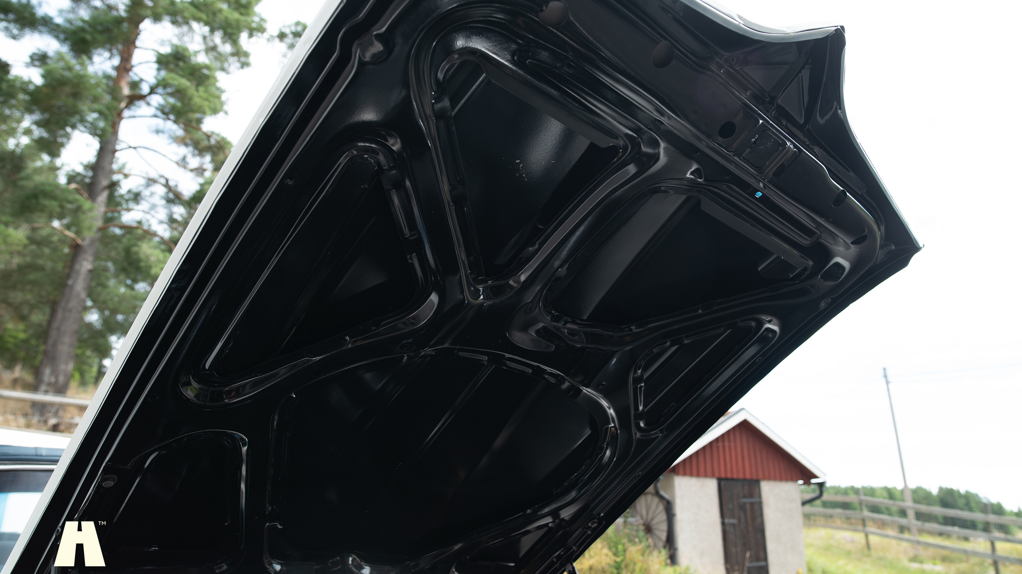 Image of 1969 Pontiac Firebird convertible  mechanics
