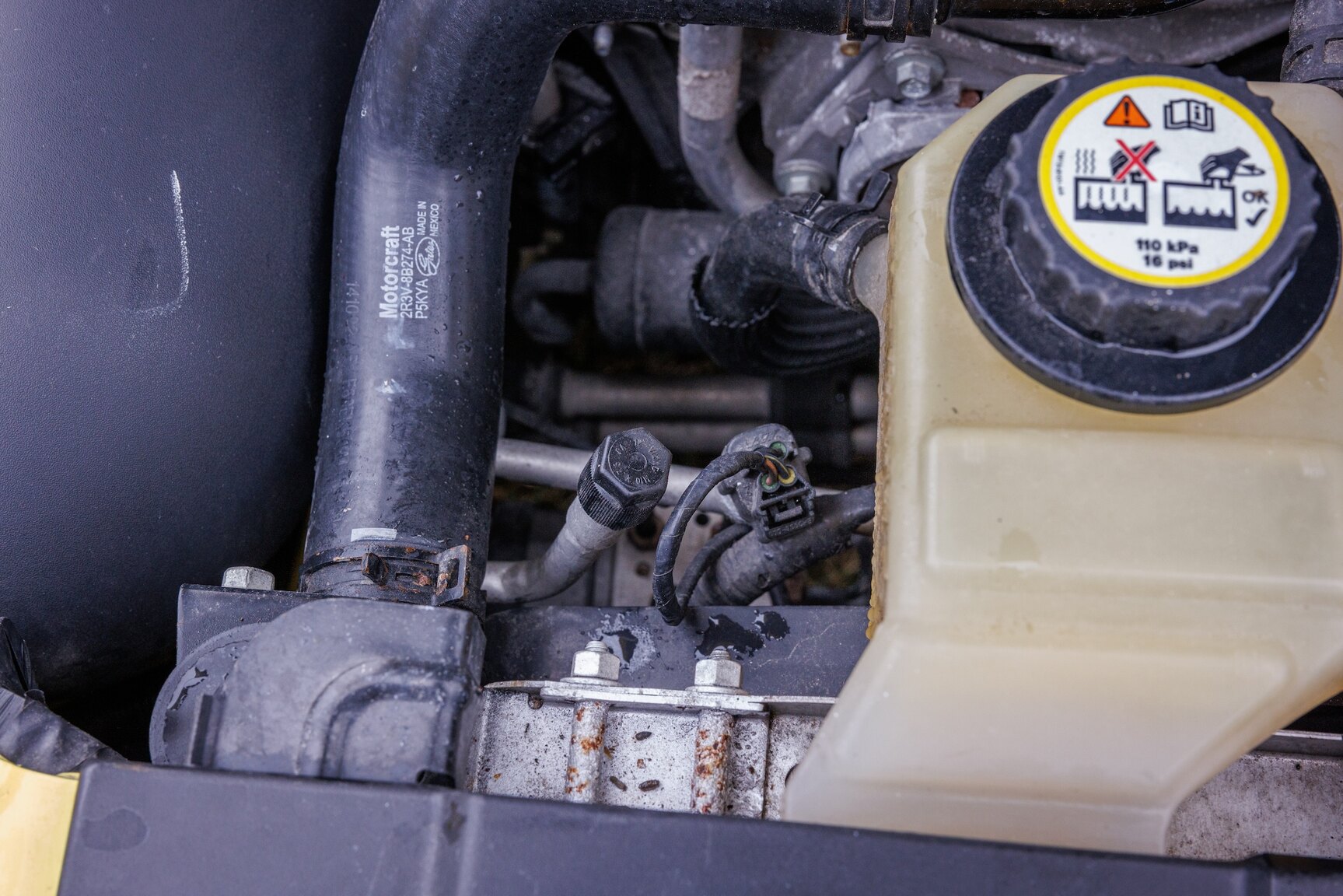 Image of 2003 Ford Mustang SVT Cobra mechanics
