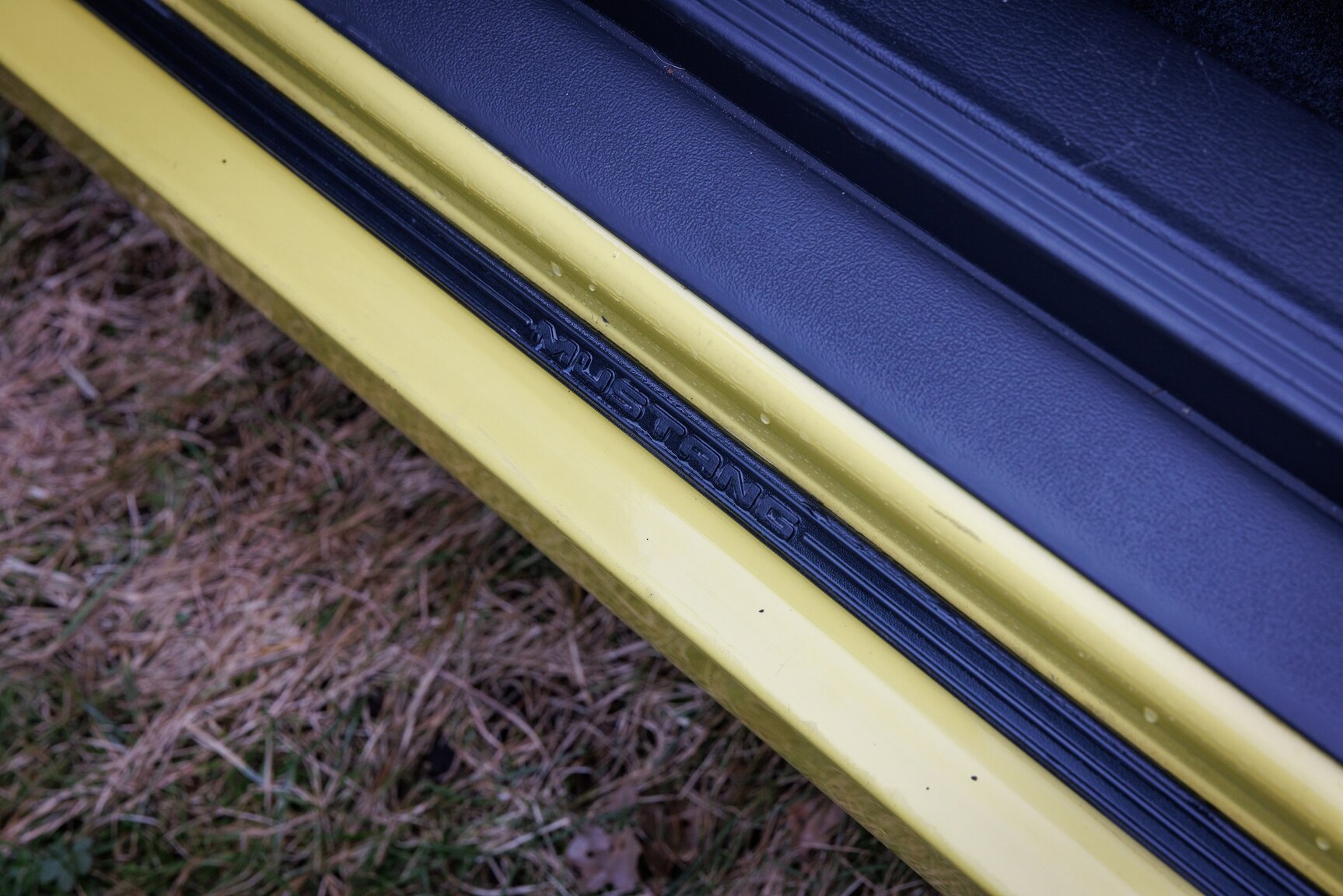 Innenraumfoto von 2003 Ford Mustang SVT Cobra