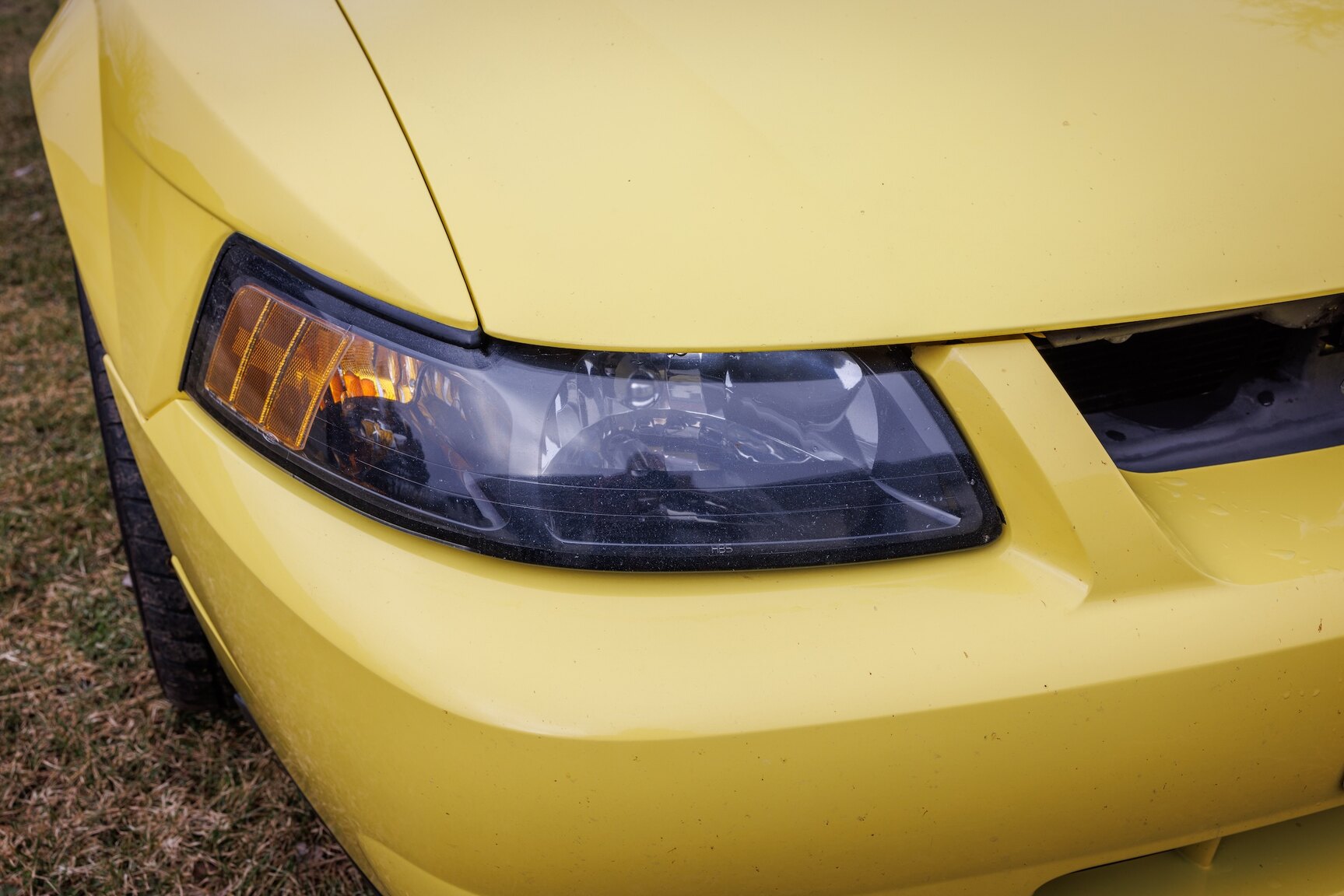Exterior image of 2003 Ford Mustang SVT Cobra