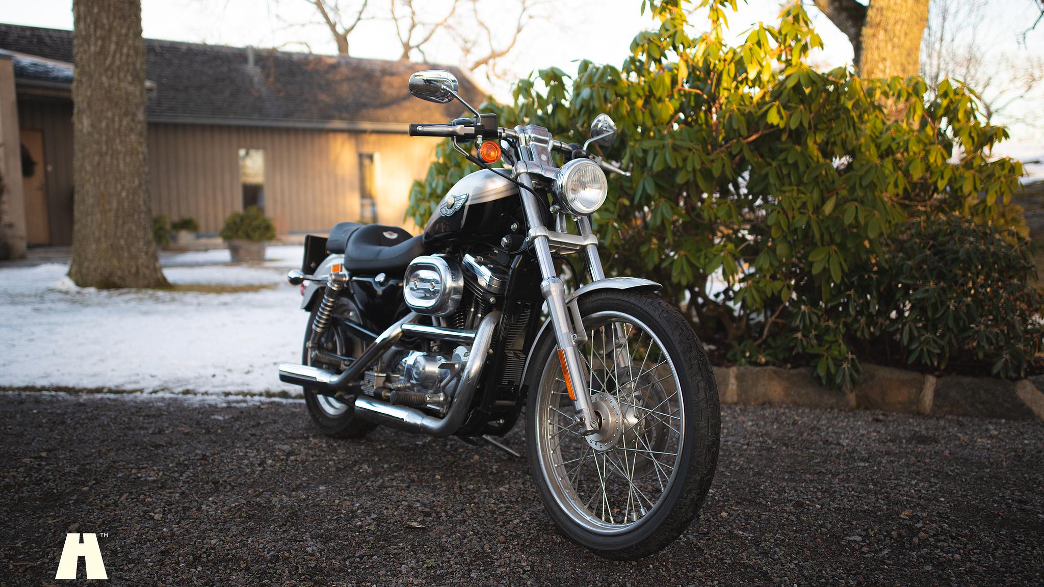 Exterior image of 2003 Harley Davidson Sportster 1200C 100th Anniversary Edition
