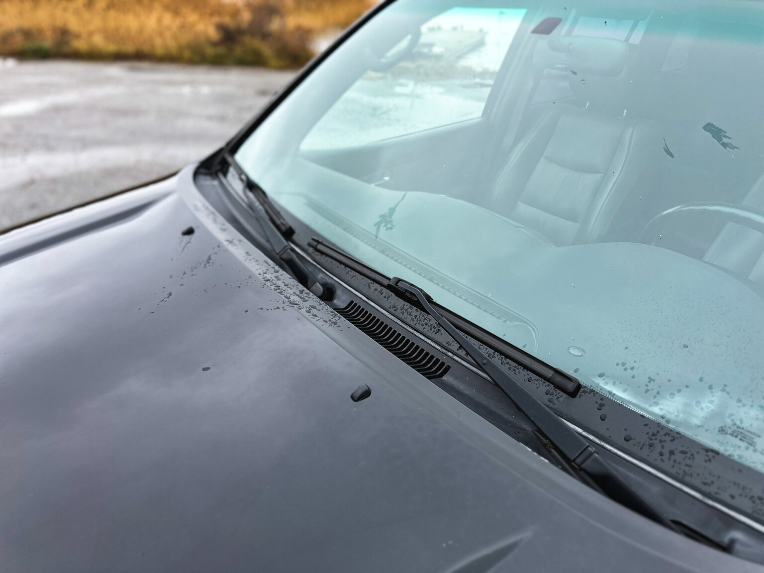 Exterior image of 2004 Toyota Land Cruiser