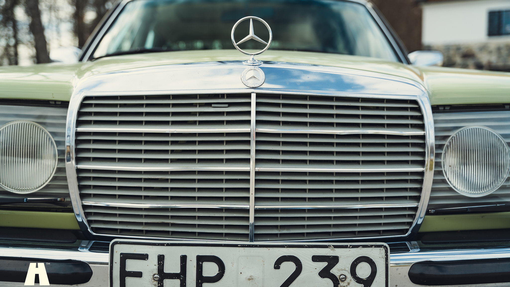Aussenfoto 1979 Mercedes Benz 230