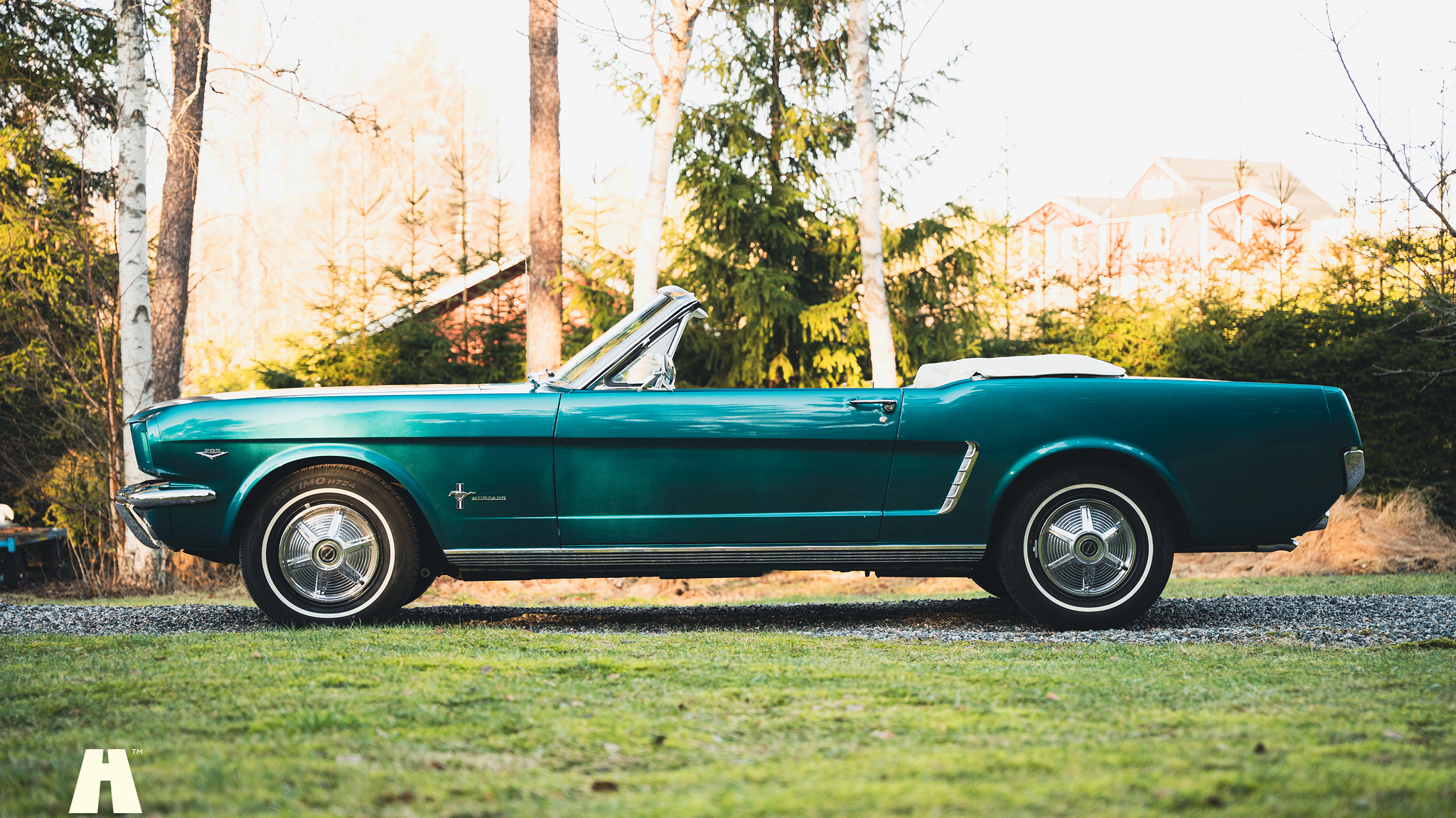 Aussenfoto 1965 Ford Mustang Cabriolet (8)