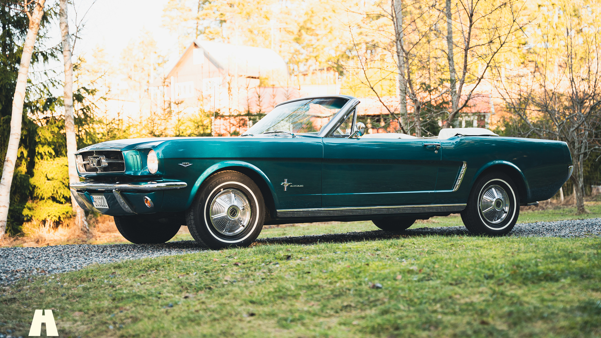 Exteriörbild på 1965 Ford Mustang Cabriolet (7)