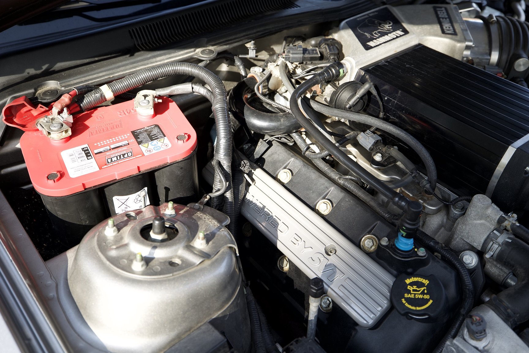 Image of 2008 Ford Mustang Shelby GT500 Convertible Manuell mechanics