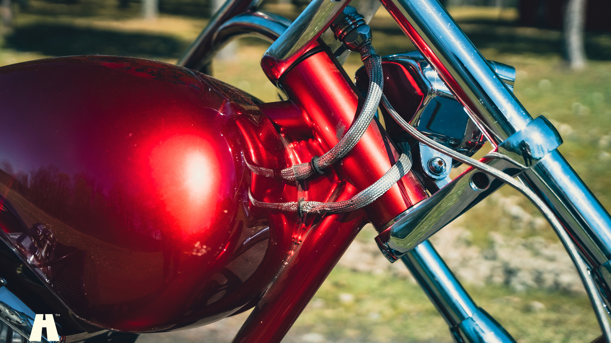 Exterior image of 2012 Harley Davidson Carbonite (38)