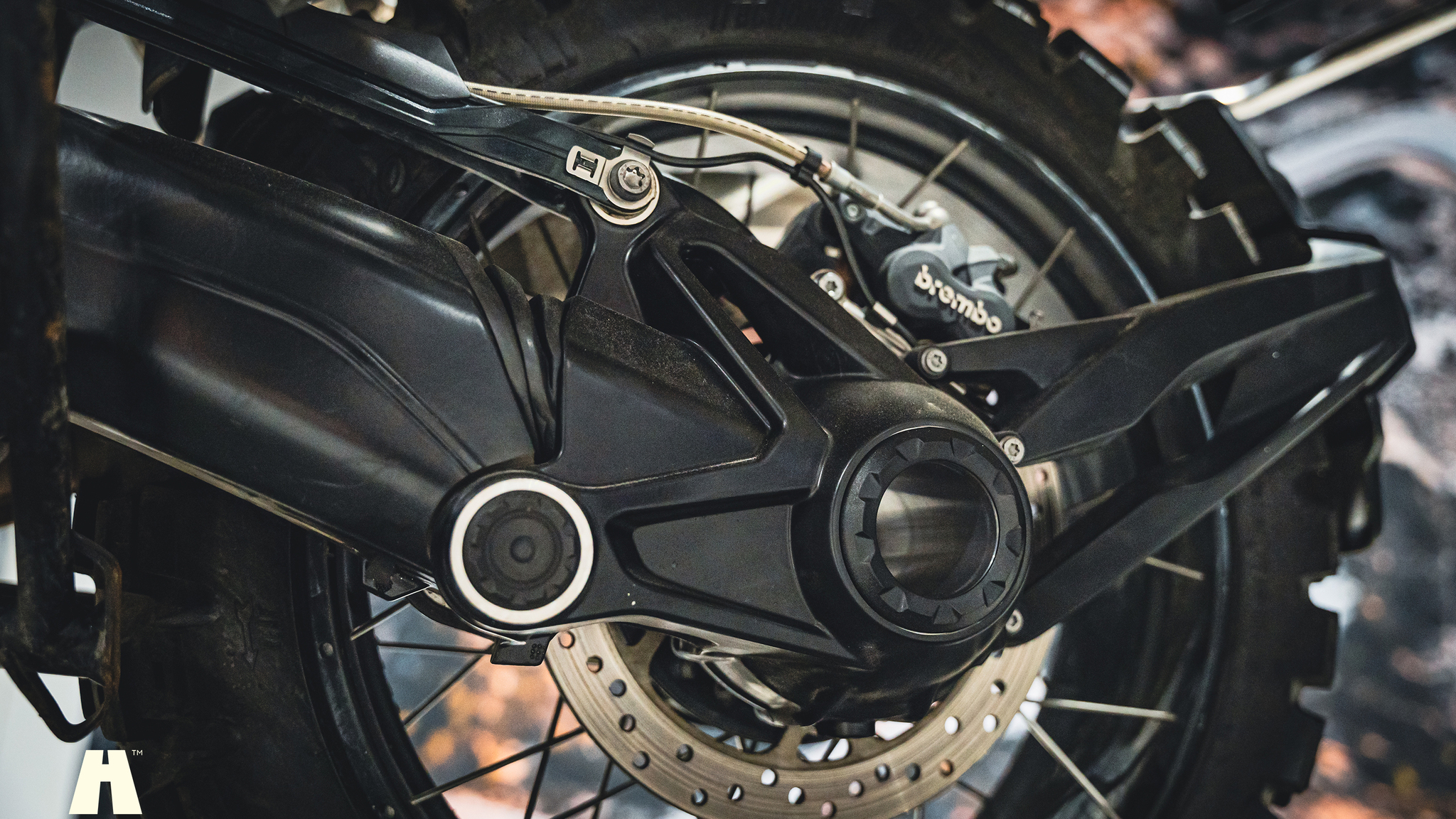 Image of 2017 BMW R 1200 GSA mechanics (11)