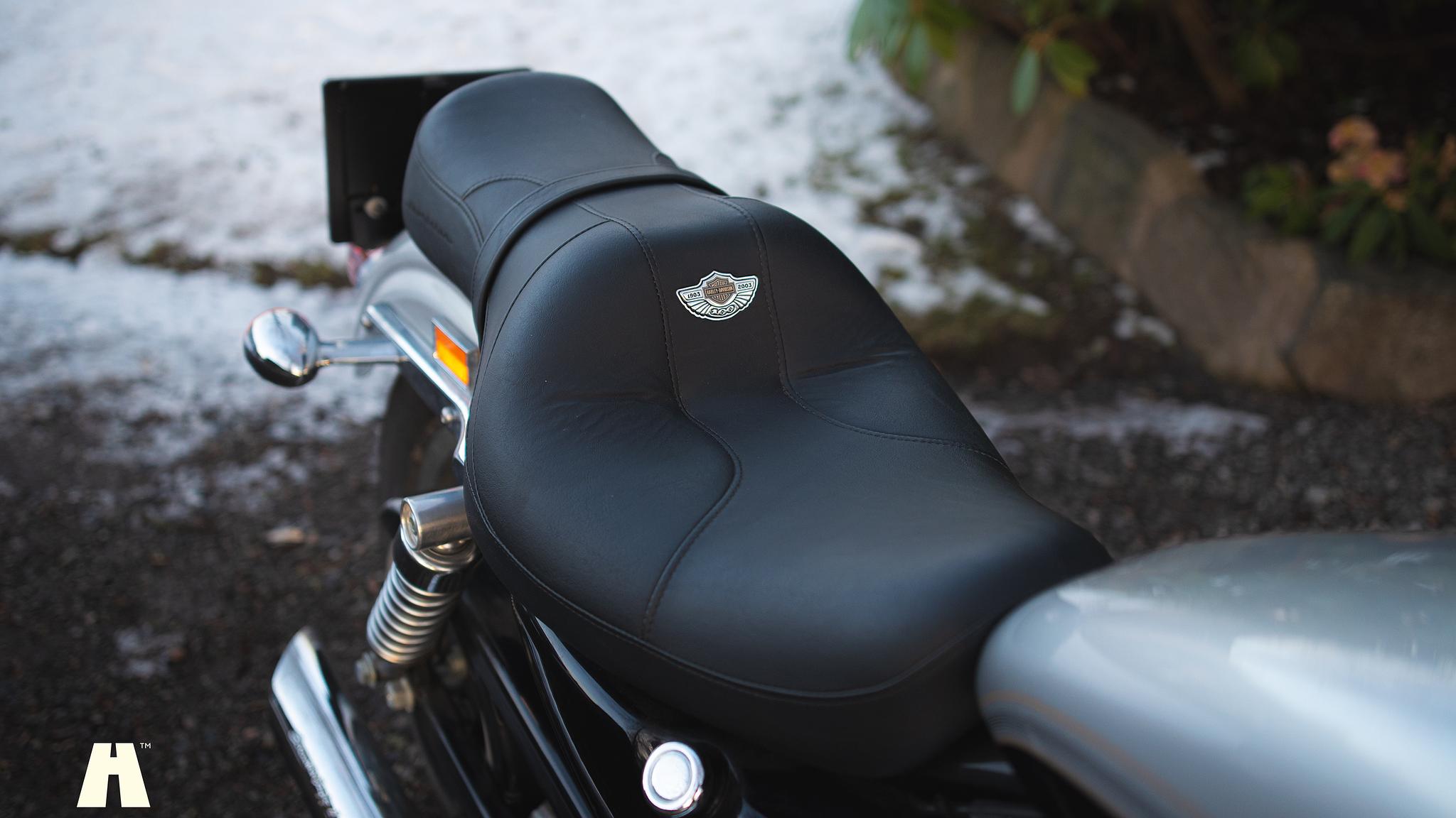 Exterior image of 2003 Harley Davidson Sportster 1200C 100th Anniversary Edition