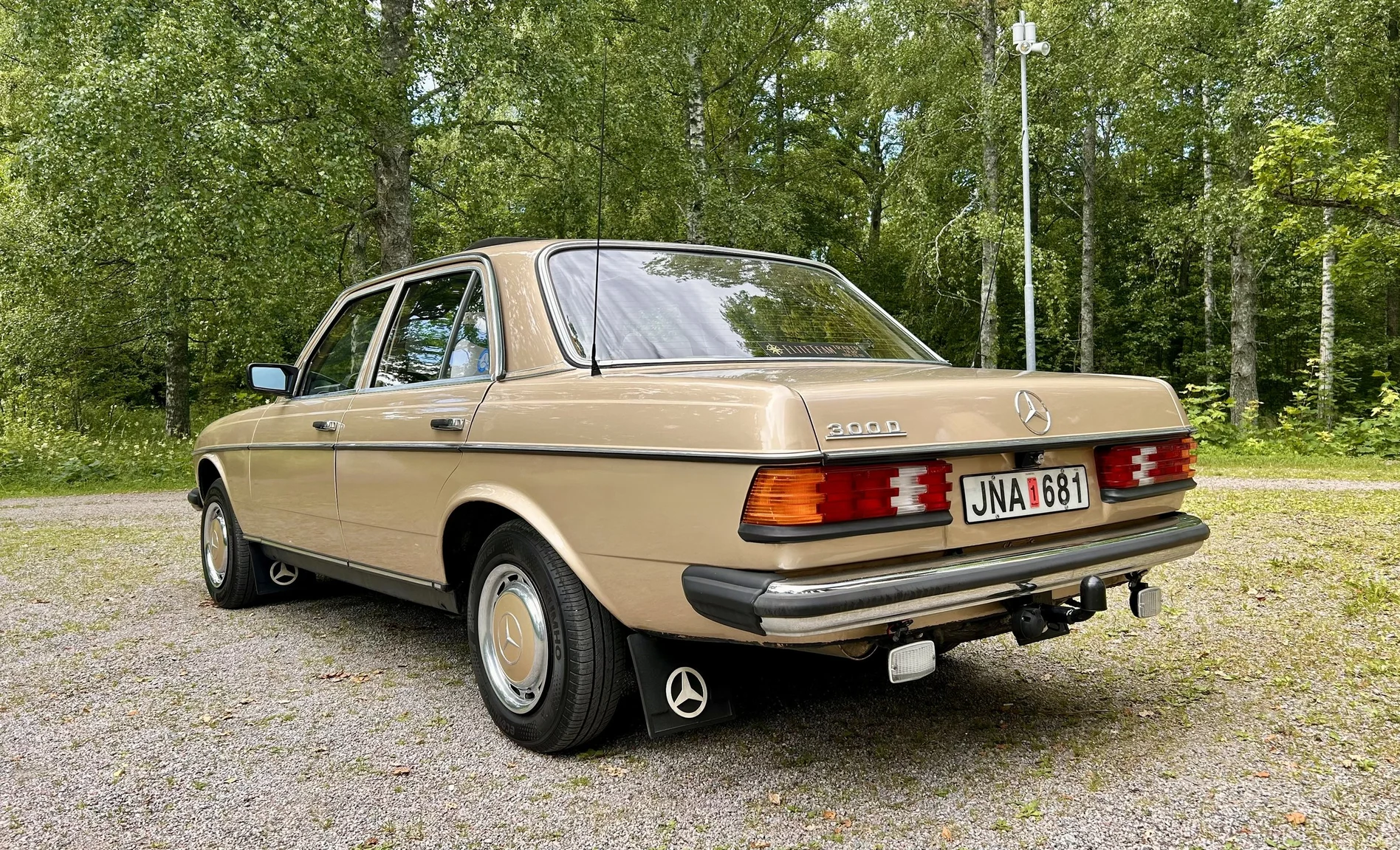 Exterior image of 1976 Mercedes-Benz 300 D (9)