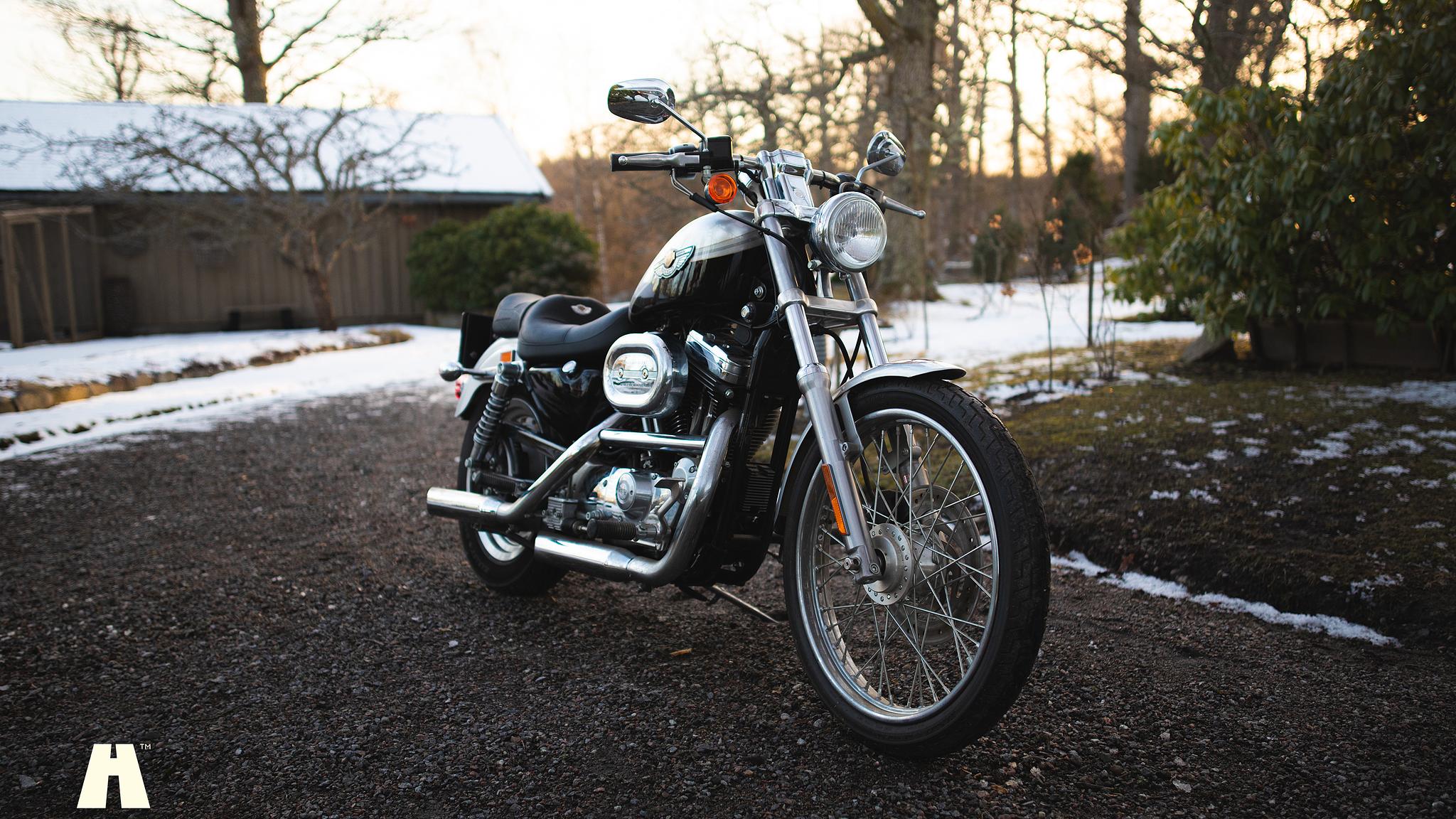 Exterior image of 2003 Harley Davidson Sportster 1200C 100th Anniversary Edition