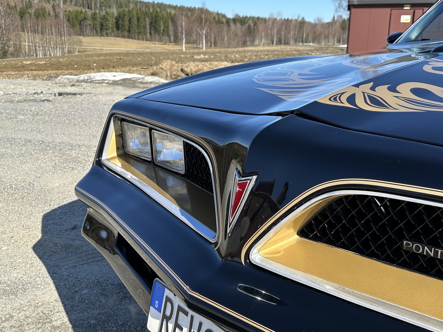 Exterior image of 1978 Pontiac Trans Am Bandit 400