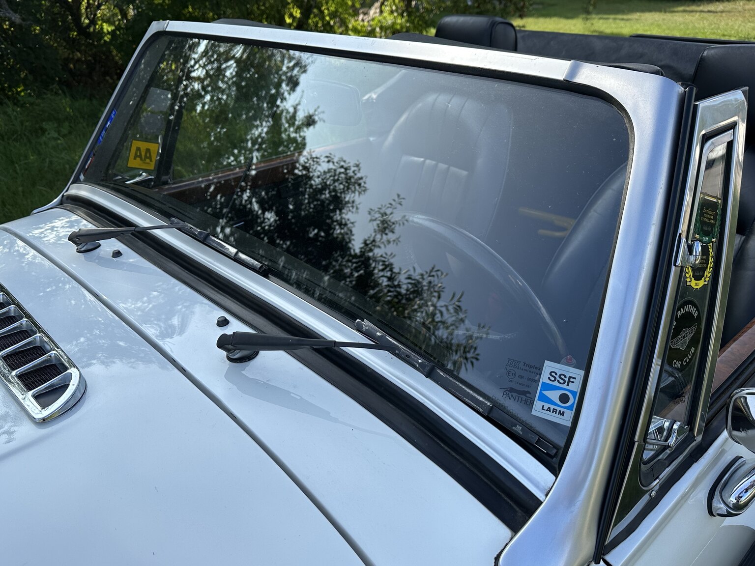 Exterior image of 1988 Panther Kallista