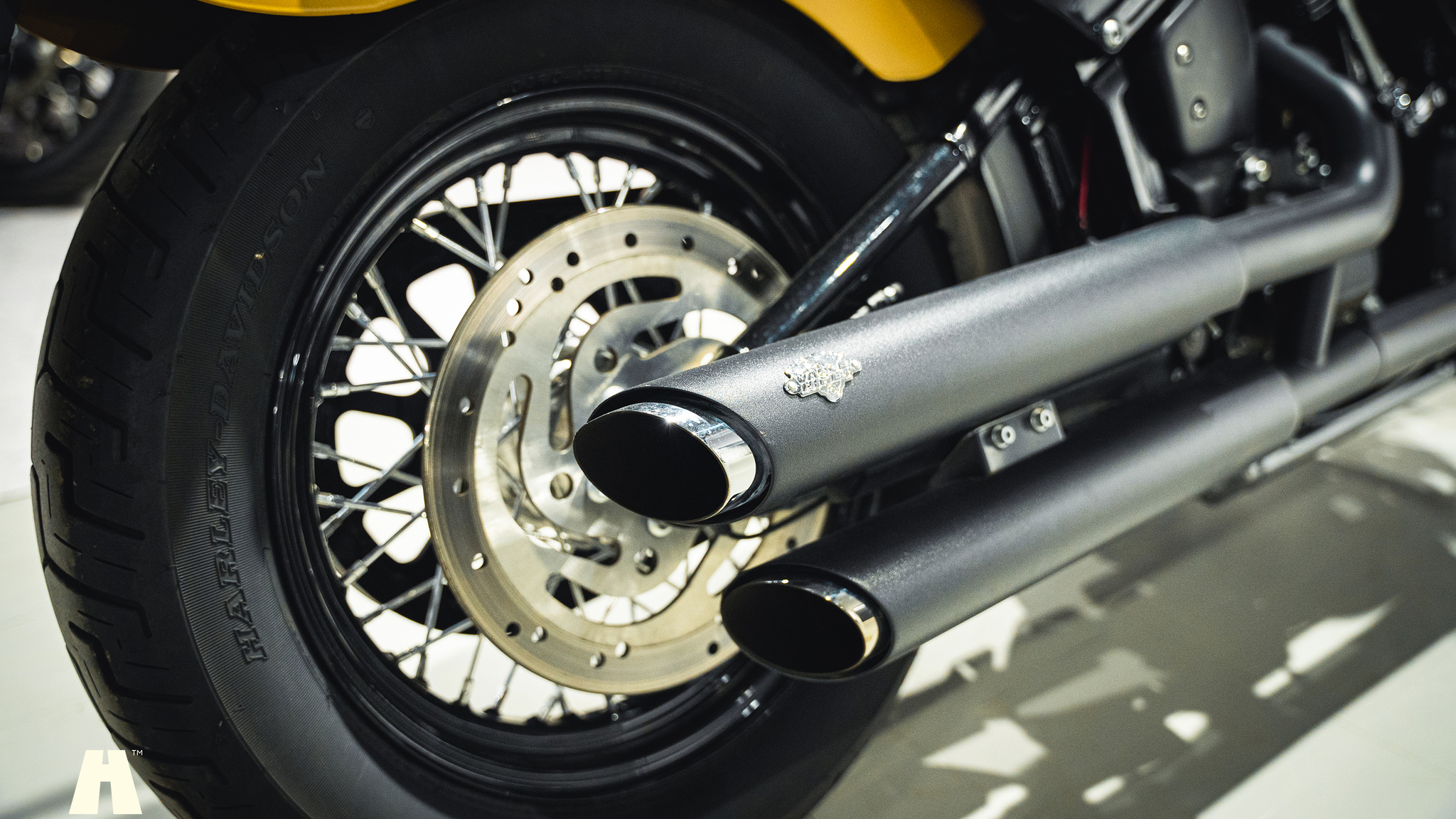Image of 2019 Harley-Davidson Street BOB mechanics
