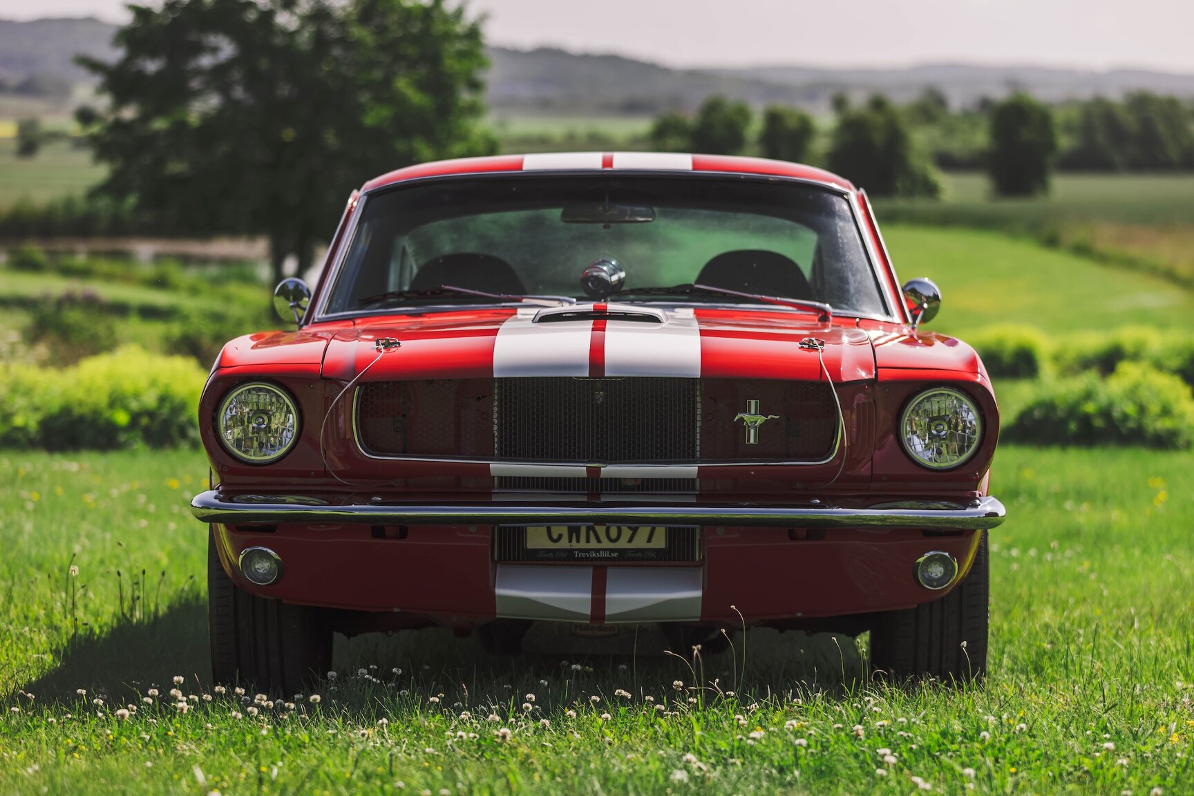 Exterior image of 1965 Ford Mustang Fastback