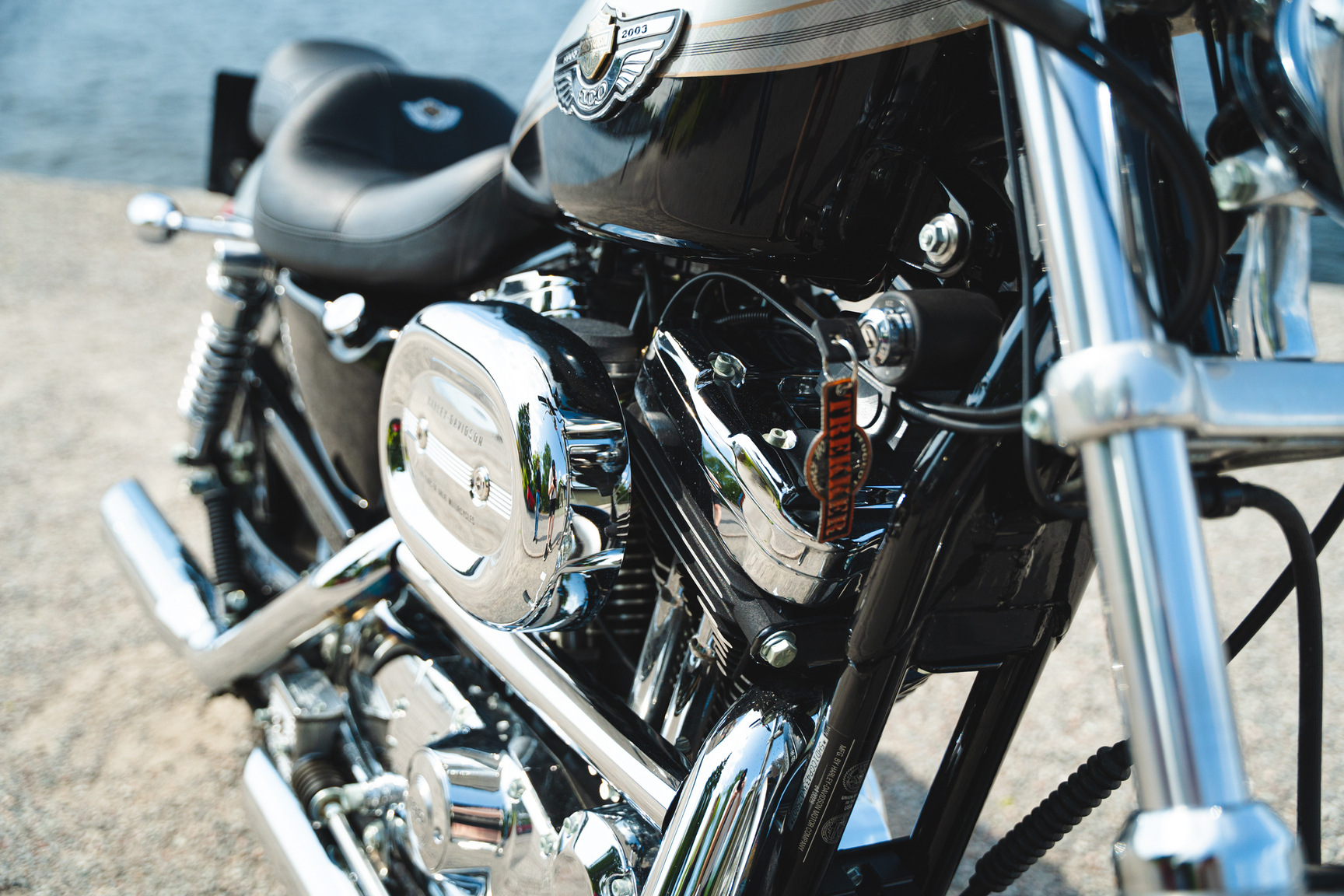 2003 Harley Davidson Sportster 1200 100th Anniversary (6), Mekanik