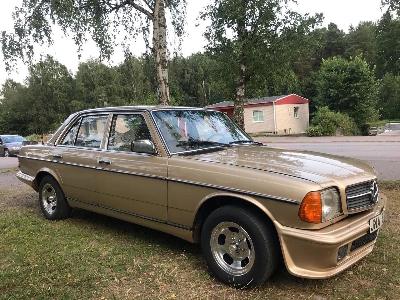 Bild der Verschiedenes von 1976 Mercedes-Benz 300 D (2)