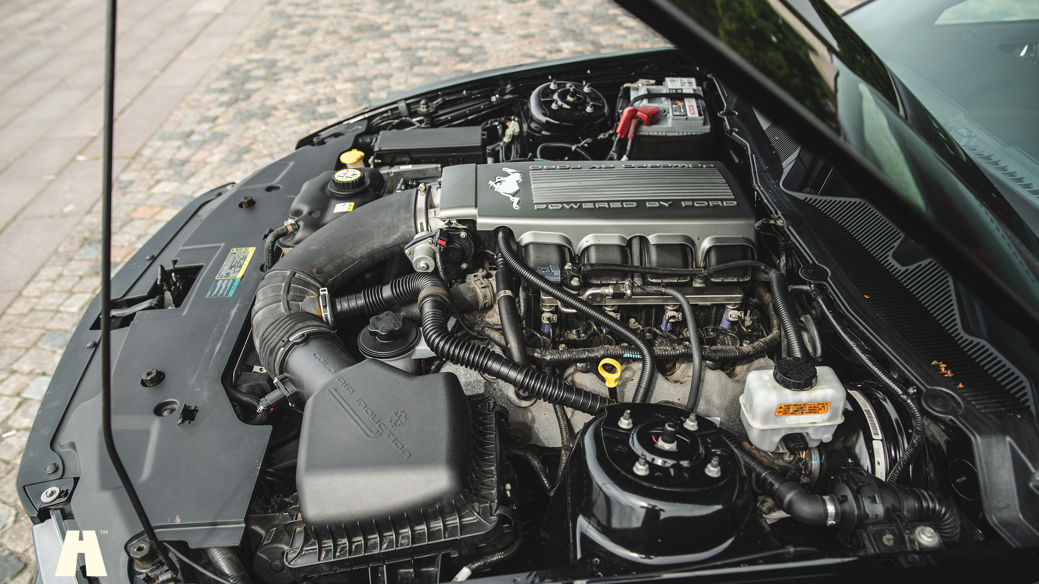 Image of 2010 Ford Mustang GT  mechanics