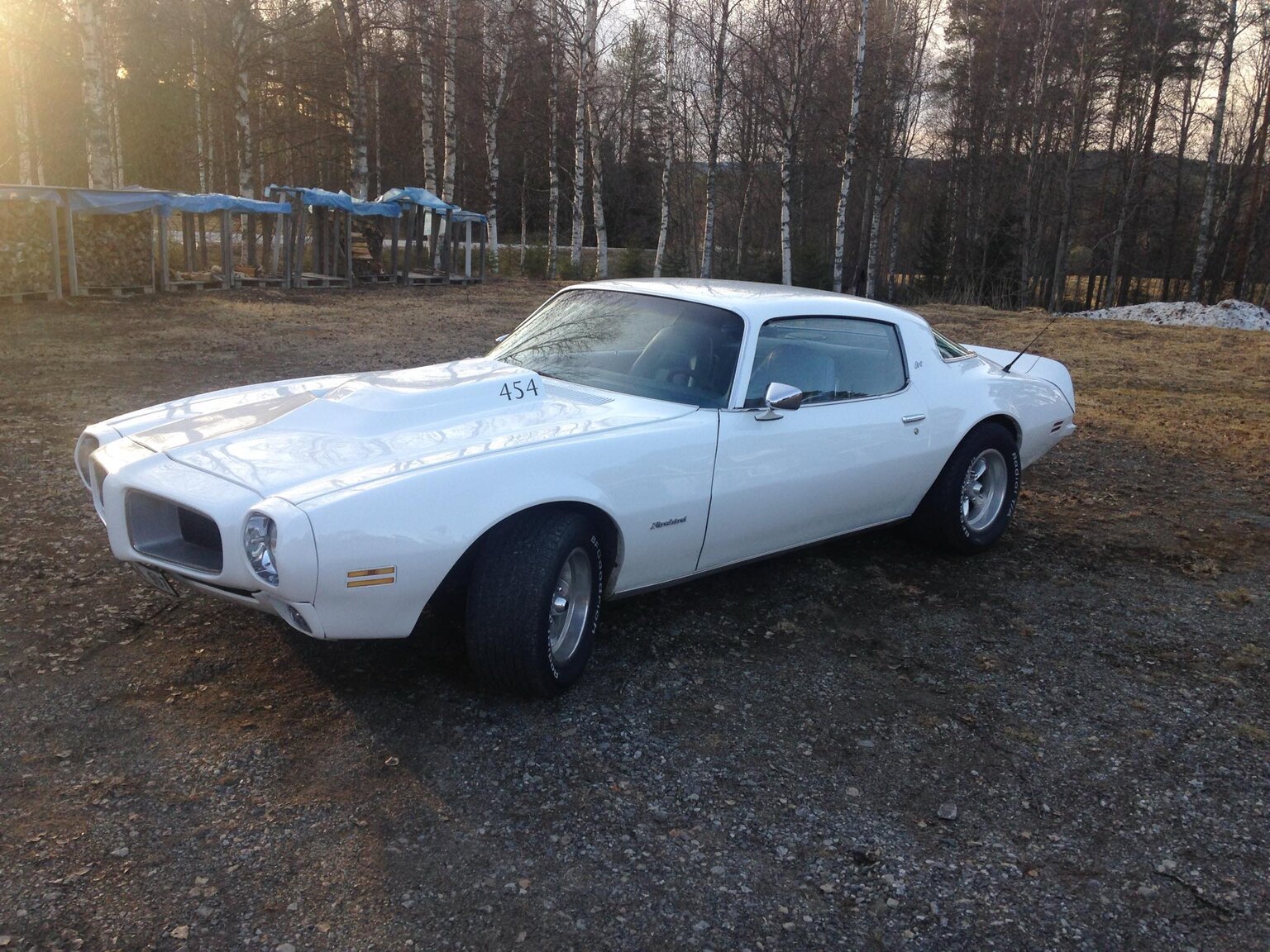 Exterior image of 1975 Pontiac Firebird Esprit 