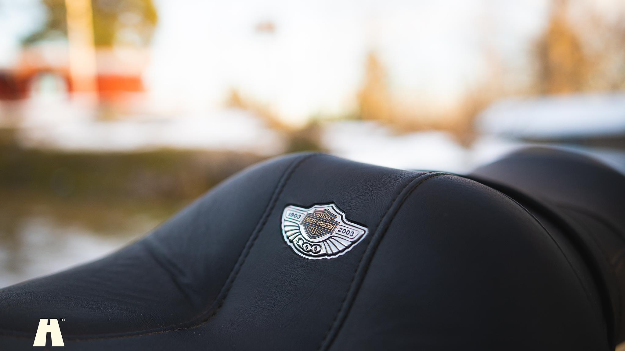 Exterior image of 2003 Harley Davidson Sportster 1200C 100th Anniversary Edition