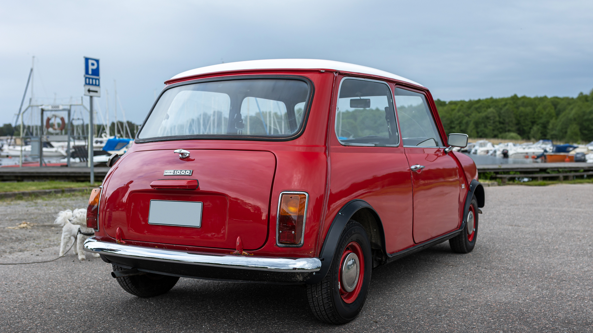 Aussenfoto 1970 Austin Mini 1000 (5)