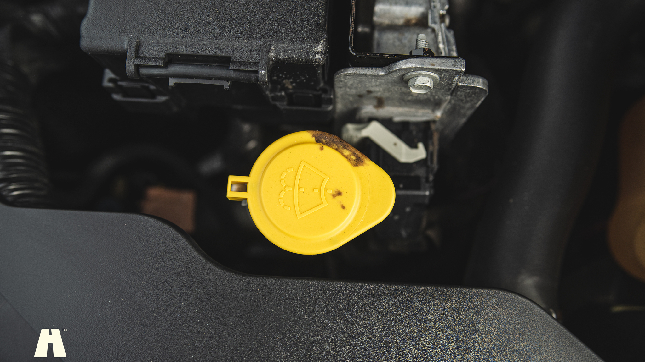 Image of 2010 Ford Mustang GT  mechanics