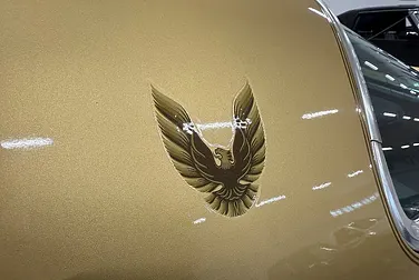 #<Image:0x00007f2fd9680640>