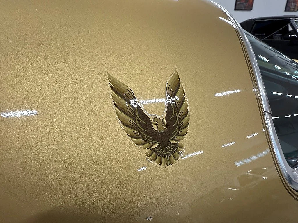 Bild von 1979 Pontiac Firebird (17)