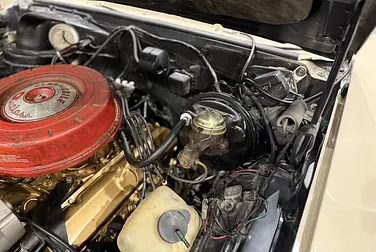 #<Image:0x00007fb770503348>