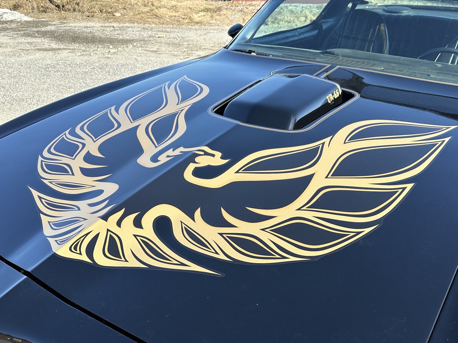 Exterior image of 1978 Pontiac Trans Am Bandit 400