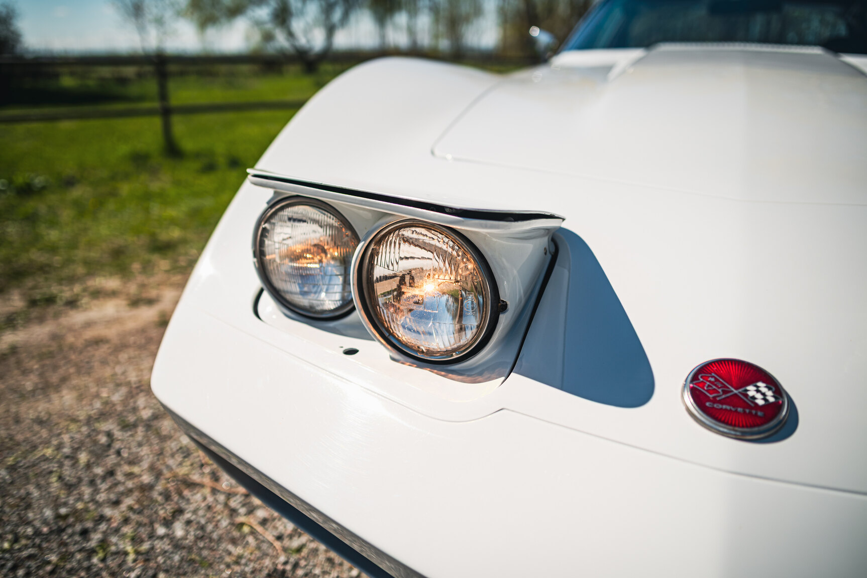 Exterior image of 1975 Chevrolet Corvette Stingray (19)